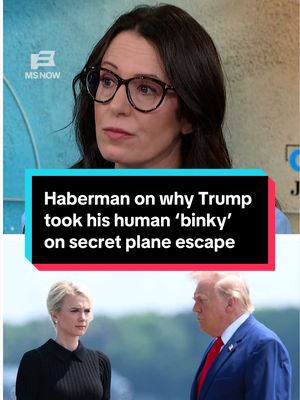 NYT White House correspondent and Donald Trump biographer Maggie Haberman on why the president might have taken his ‘binky’ Natalie Harp, among others, with him on his decoy plane out of Turkey after a NATO summit in July. #trump  #natalieharp  #airforceone 