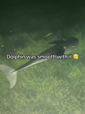Fish just accepted it 😂 (via alysha_a_meyer/IG, Silenthunter_fishing_charters/IG) #espnsocial #Dolphin #fishing 