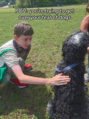 Meet Seth, he is working hard to get over his fear of dogs one step at a time. Today he met Murphy and Fergus 💚 #dogs #dogsoftiktok #autism 