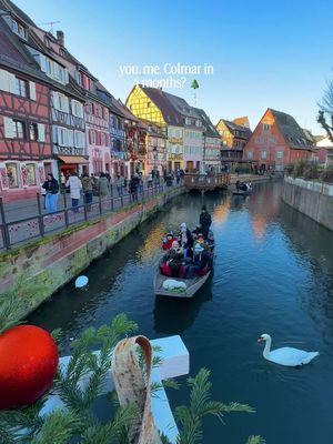 2026 dates for christmas markets in Colmar:  November 23rd - December 29th 🎄😍