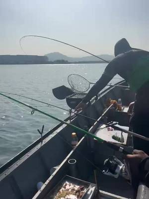 O pwi tem a senha dia de pesca 🎣 