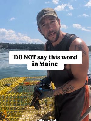 maine 101  #maine #mainelife #accent 