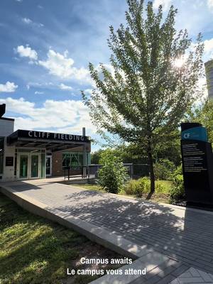 Soaking up the last few days of august on campus before the fall semester begins ☀️ Profiter pleinement des derniers jours du mois d'août sur le campus avant le début du semestre d'automne ☀️
