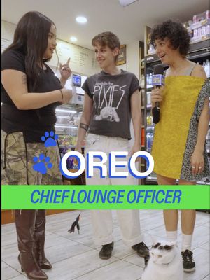 Meet Oreo in Chelsea ft. Shop Regulars #KristenStewart #AliaShawkat  @MICHELLADONNA  @NEON 