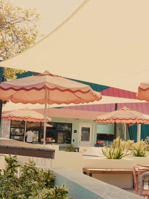 Santa Monica: we hear you. Shade is here. Come cool off this weekend with an iced coffee on our newly shaded, pet-friendly patio. We’re here every day, 5:30am - 8pm. #LAcoffee #SantaMonica #summervibes #intelligentsia #intelligentsiacoffee