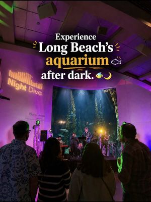 Who says the aquarium is just for kids? Once a month, the Aquarium of the Pacific transforms into an adults-only Night Dive for guests 18+. Explore the aquarium after dark, enjoy live music, grab tacos and drinks on the outdoor patio, and check out fun activities throughout the evening. It’s such a fun idea for date night or a night out with friends🪼  #losangeles #thingstodoinla #longbeach #datenight #fypシ 