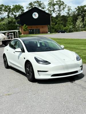 POV: $400 interior exterior detail Tesla model 3