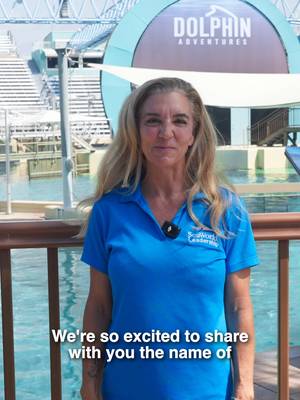 Meet Solstice! 🐬 Born June 21, this little dolphin arrived on the summer solstice, making her name the perfect fit. Since her arrival, Solstice has been lovingly cared for by her mom, Sofi, alongside her grandmother, Sandy, as she grows, learns and discovers her world. We’re so excited to officially introduce you to Solstice! 💙