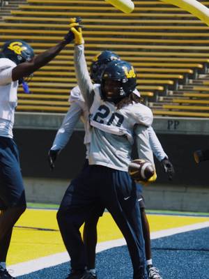 🚫✈️ #GoBears