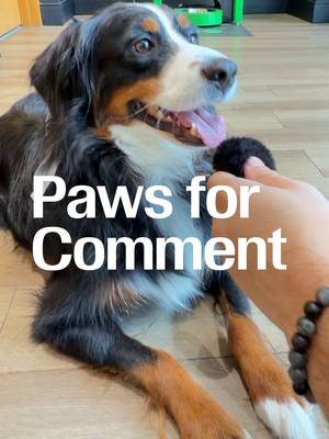 What makes our South Broad store in Philly so popular? Location? Colleagues? Doggie ATM? There’s a story to sniff out here—and doggone it, we’re going to get to the bottom of it. This is Paws for Comment. For all your Doggie ATM needs, tap the link and find one near you. 📍 https://stories.td.com/us/en/article/td-banks-popular-dog-atms-coming-soon-to-14-more-stores?linkId=997682912