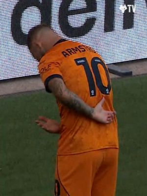 A thing of beauty! #Wolves #EFL #highlights