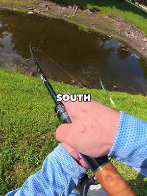 FISHING SOUTH FLORIDA CANALS FOR PEACOCK BASS⁉️ • • Yall see that boat flip on the @dcfishingsupplies ZeusX rod?? @Fishbrain @York Casting Co  • • #fishing #peacockbass #florida #fyp #floridafishing 