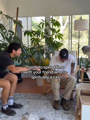 bro only hangs out on his terms @Fitzgerald Checksworth #fyp #cats #friends 