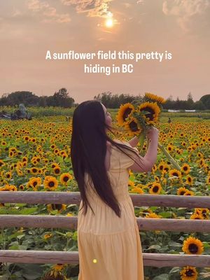 This hidden sunflower paradise is just outside Vancouver @richmondsunflowerfest  Looking for sunflower fields near Vancouver or things to do in Richmond, BC this summer? Add the Richmond Sunflower Festival to your summer bucket list! 🌻 Why visit? It’s the perfect summer outing for families, couples and flower lovers—you can wander through acres of blooms, take beautiful photos, enjoy local food, visit the on-site winery for a tasting, explore the farm market and make a full day of it. 🌻 20+ acres of flowers & 90+ varieties 🌻 Sunflowers, dahlias & gladiolas 🌻 Instagram-worthy photo spots 🌻 Tractor-pulled wagon rides 🌻 Family-friendly & stroller-friendly paths 🌻 Lemonade, mini doughnuts & food trucks 🌻 On-site winery & wine tastings 🌻 Thursday evening yoga 🌻 Farm market with fresh berries, corn & seasonal produce 📍 Richmond Sunflower Festival 12900 Steveston Hwy, Richmond, BC #richmondsunflowerfestival #sunflowerfield #richmondbc #explorebclocal #thingstodoinvancouver 