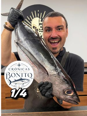 Bienvenidos a la serie CRÓNICAS DE UN BONITO,donde vamos a hacer 3 recetones con este bonito de 5 kilos, divididos en 4 Capítulos. Hoy, cómo limpiar el Bonito como un pro. Espero que te guste, me sigas y te animes a hacerla! . #bonito #cortarbonito 