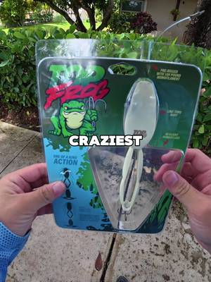 IS THIS THE CRAZIEST LURE EVER???  • • I’m honored to have caught the first ever snakehead on the @FISHING2THEMAX Top Frog‼️This is seriously one of if not the coolest lure on the market. From the looks, drawing power, performance & flat out creativity. It should have been today had that little guy not stolen the bait but I’m gonna catch a true dragon soon. What other species do yall wanna see me catch on the Top Frog⁉️ Per usual, the @dcfishingsupplies CarboniteX rod handles these fish with ease.  • • #fishing #bullseyesnakehead #snakehead #florida #fyp  