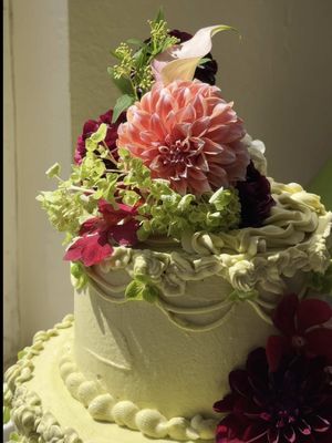 I made a wedding cake for my friends @baileybaxx & @willyjays 🎂 Elderflower sponge, blueberry compote, honey whipped cream, matcha Swiss meringue buttercream. Two tiers of the most delicious thing I’ve ever baked. Recipe on my Substack! #weddingcake #cakedecorating #matchacake #bakingfromscratch #swissmeringuebuttercream
