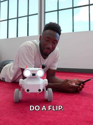 Do a flip