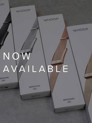 Our most meaningful possessions are woven through life. Link by link. Memory by memory. Introducing Meridian. An elegant silhouette crafted from timeless Milanese mesh. Stack it or wear it alone, it sits naturally alongside the pieces you already love. Designed to become part of your rhythm over time.