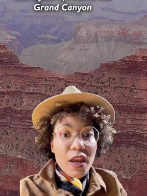 There are layers missing in the Grand Canyon. The Great Unconformity is one of these places where 250 million years of the geological record is just... not there. So... what happened?! We investigate the mystery in Crash Course Geology.🕵️ #grandcanyon #geology #naturalhistory