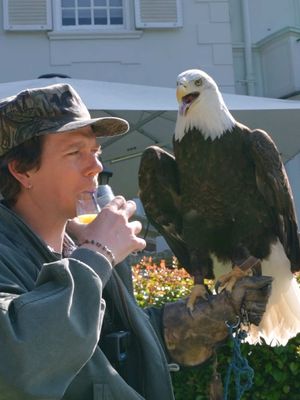 Will a pet friendly hotel let me in with a bald eagle?