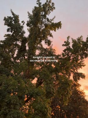 BEAUTIFUL ✨🧡🌅🥹 #beginnersguidetosac #sactiktok #sacramento 