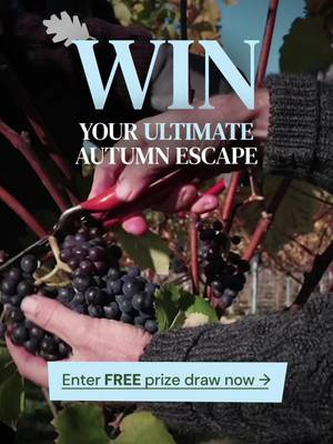 🚐 Come Hungry for open roads, local flavours and three memorable nights under the stars. Come as you are. Leave with stories worth retelling. Enter for your chance to win: ⭐ A three-night LandyCampers hire in Waffle for two people worth up to £885 ⭐ A classic Land Rover Defender 90 camper with a Thule Approach 2 rooftop tent ⭐ Bedding, cooking equipment, a fridge, off-grid power and camping essentials ⭐ A Flint Vineyard tour and tasting for two people ⭐ A bottle of Flint Charmat to enjoy once safely parked at your campsite Enter now! https://visiteastofengland.com/competitions/win-a-three-night-defender-camper-adventure-alongside-a-tour-and-tasting-at-flint-vineyard Come as you are, leave renewed. @visit.eastofengland  #ComeHungry #VisitEastOfEngland #LandyCampers #FlintVineyard #Norfolk 