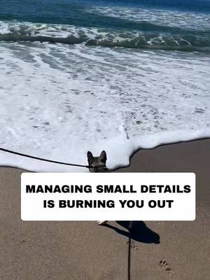 Stop burning out by managing every small detail and let AI-assisted systems step in to handle your daily operations.  DM scale with AI to learn how to scale your business 🔗  #ScaleYourBusiness #BusinessOwner #WorkSmart #Entrepreneurship #marketingautomation 