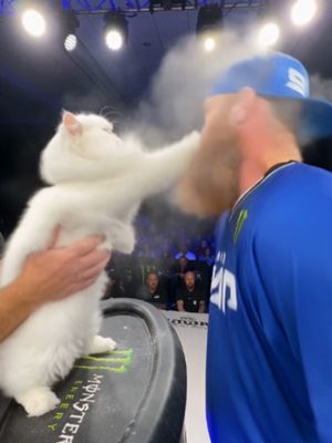 There is a new champ in town 🙀 Do you think Oscar should come to #PowerSlap23? [ $VET | Sept 17th | 📍 Texas Tech University | Live & FREE on YouTube | 🎟️ TICKETS at link in bio ] via @oscar_beingoscar