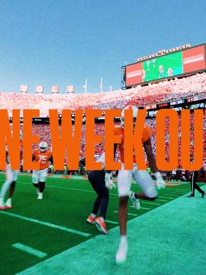 one week ⏳ #GBO 🍊