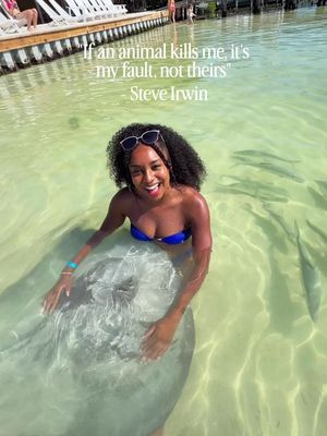 Gentle water pancakes. 💙🥞 Stingrays may have a bad reputation, but they’re generally shy, non-aggressive animals that would much rather swim away than bother you. A little respect goes a long way when we’re entering their home. 🌊🤍  📍 Caye Caulker, Belize 🇧🇿  #traveltok #belizetravel 