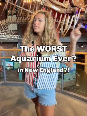 “The worst aquarium ever” might just be the best museum in Massachusetts. It’s not an aquarium at all, it’s the New Bedford Whaling Museum! #ad The @New Bedford Whaling Museum has so many kinds of exhibits to check out. Art, history, science, culture… a life-sized whale heart and whale skeletons! It’s such a cool museum in the coastal town of New Bedford!  Bonus: Your ticket receipt gets you 20% OFF at select local restaurants! Make sure to take a stroll through town while you’re there.  New Bedford is about 1 hour and 20 minutes south of Boston! #newenglandtravel #travel #massachusetts