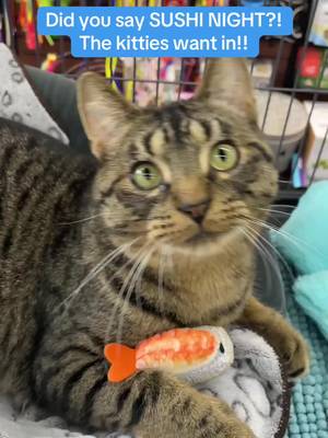 A California Roll for you, and a Performatrin Culinary bowl for your kitty! Build an elevated dining experience for a delicious at-home sushi dinner. 🍣