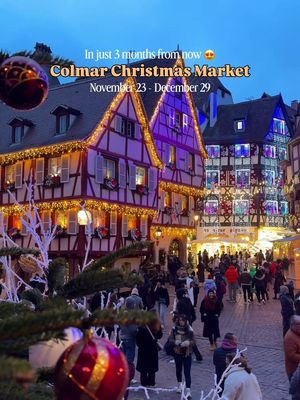You, me, Christmas markt in Colmar this season? 🎄😍