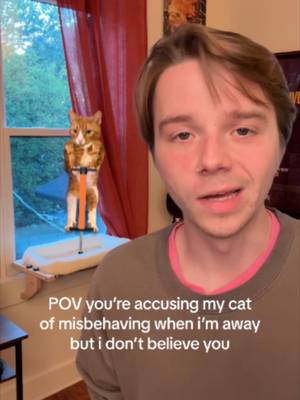 “my child would literally never behave like that” #catdad #catsitter #catsoftiktok