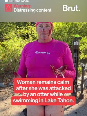 A Nevada swimming instructor who teaches children rescue and safety tactics when they face unexpected hazards in water was attacked by a river otter in Lake Tahoe last week. The woman says that she required 22 stitches in her foot after the encounter, and that the otter also bit her cheek, nose, and arm. While it is extremely rare for river otters to attack humans, the Nevada Department of Wildlife said in a statement that "otters are wild animals and can become aggressive if they feel threatened, cornered or are defending young." The department said it is working with local officials to put up cautionary signs in the area after the incident. #Otter #Animal #Nevada