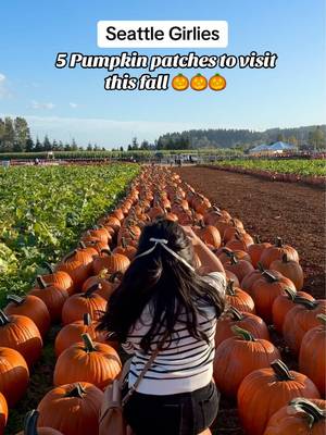 Seattle girlies 👯‍♀️ here are a few pumpkin patches to visit in the Greater Seattle area this fall! #pumpkinpatch #pumpkinpatch🧡 pumpkin patches Seattle / where to go this fall in Seattle / Seattle fall things to do / fall activities near Seattle / pumpkin patch aesthetic #pnw #seattle #seattletiktok 