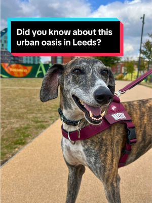 DID YOU KNOW ABOUT THIS URBAN OASIS IN THE HEART OF LEEDS? 🌳 Aire Park has completely rejuvenated Leeds South Bank, bringing eight acres of green space to a previously neglected part of the city. We caught up with the people behind four of its surrounding independent businesses, – contemporary coffee shop @Haby®, cosy events space @The Attic, tiramisu cafe @Caffe Brigante | Leeds, and Leeds pioneers @North Star Coffee Roasters - to discover how Aire Park is changing this part of the city. 📍 Aire Park, Hunslet Road, Leeds, LS10 1JQ | ad