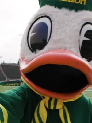 #ad PSA: Bird mascots are friends, not food ‼️ The $6.99 DQ Chicken Strip Basket, however... fair game.