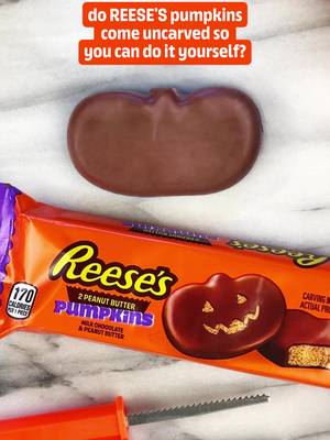 the only pumpkin worth carving this season.