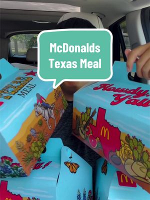 Trying McDonalds New Texas Meal for a Food Review! How does it taste? #mcdonalds #fastfood #mukbang #foodreview #FastFoodReview 