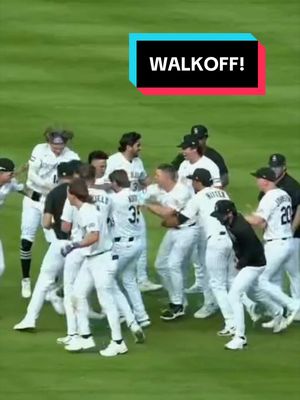 BRETT CALLED GAME! #walkoff #win #baseball 