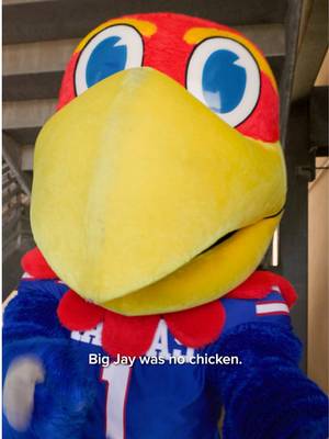 #ad This Big Jay is no chicken 😤 Now go order the real Chicken (Strip Basket). ​