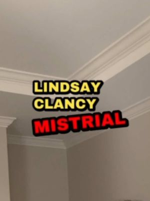 Lindsay Clancy’s case ends with a mistrial #lawtok #lindsayclancy #mistrial #breakingnews 