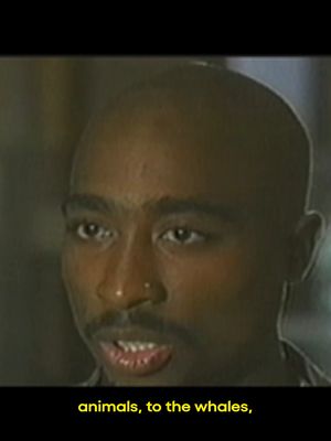 Like a rose growing out of concrete 🥀 Stream Tupac Shakur: Before I Wake for free On Demand on Pluto TV! #tupac #beforeiwake #tupacshakur #documentary