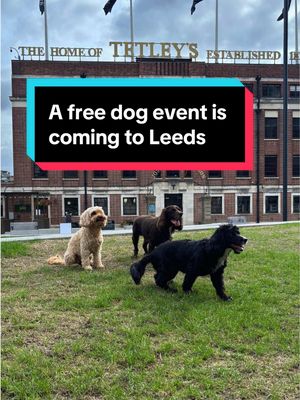 A FREE DOG EVENT IS COMING TO LEEDS 🐶🌳 Looking for a paw-fect free day out in Leeds? Then don’t miss out on Aire Park’s upcoming dog event, Paws in the Park. For one day only, this urban oasis in the heart of the city will be transformed into a dog-lover’s paradise. Your pup can tackle the agility course, live out their best Crufts fantasy and compete for titles including Best Rescue Pup and Golden Oldie. There’ll also be stalls from local makers, artisan food traders, face painting and more, along with a @Dogs Trust stand where you can learn more about its work, the Sponsor a Dog programme and Lucky Pups Lotto. While you’re there, be sure to check out the dog-friendly businesses surrounding the park, like @The Attic and @Haby®, where you can grab a coffee, stop for a bite to eat and pick up treats for your pups. You don’t need to enter your dog into anything either. It’s completely free to come along, soak up the atmosphere and do some top-tier dog spotting. Plus, if you share a post of your dog with the hashtag #AirePark, you could be in with a chance of winning a £50 Pets at Home gift card to treat your pooch! 📍Aire Park, Leeds, West Yorkshire, LS10 1JQ 🗓 Saturday 12th September 11am – 4pm 🎟 Free to attend (for both pups and humans!) | ad