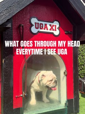Don’t you just love him🥹 #GoDawgs #georgiafootball #mascot #CollegeFootball #uga 
