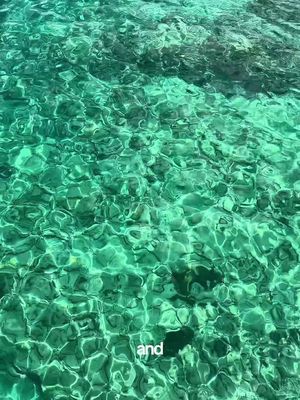 Day 2 on the Wonder of The Seas🚢🫶 #cruise #royalcarribean #wonderoftheseas #cococay #dayinthelife 