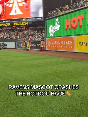 FUMBLE‼️ @Baltimore Ravens  #orioles #hotdogs #baltimoreravens #MLB #birdland 