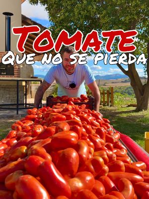 🍅TOMATE🍅 “Que no se pierda” Tradición, familia, historia y gastronomía. Un video muy importante para mí al que le he querido dar un sentido más allá del proceso de embotarlo. No podemos perder las buenas costumbres.